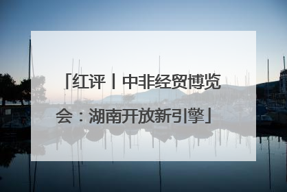 红评丨中非经贸博览会：湖南开放新引擎