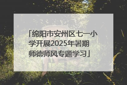 绵阳市安州区七一小学开展2025年暑期师德师风专题学习