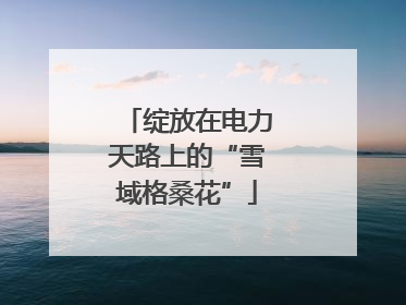 绽放在电力天路上的“雪域格桑花”