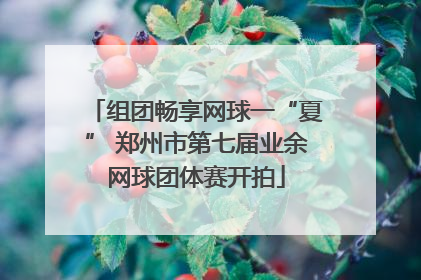 组团畅享网球一“夏” 郑州市第七届业余网球团体赛开拍