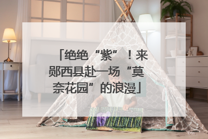 绝绝“紫”！来郧西县赴一场“莫奈花园”的浪漫