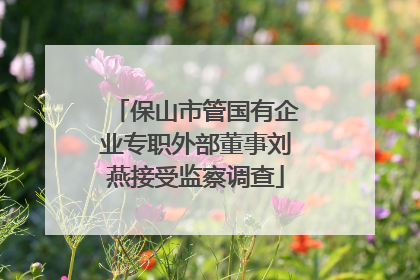 保山市管国有企业专职外部董事刘燕接受监察调查