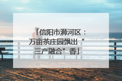信阳市浉河区：万亩茶庄园飘出“三产融合”香
