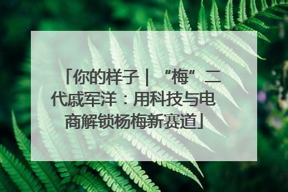 你的样子｜“梅”二代戚军洋：用科技与电商解锁杨梅新赛道
