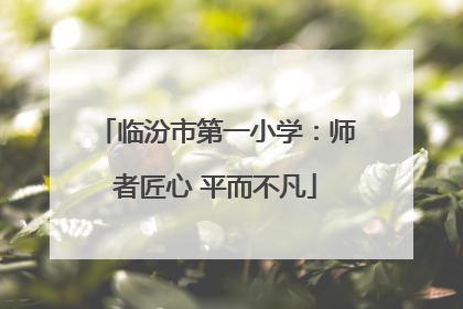 临汾市第一小学：师者匠心 平而不凡