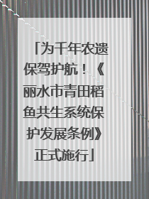 为千年农遗保驾护航！《丽水市青田稻鱼共生系统保护发展条例》正式施行