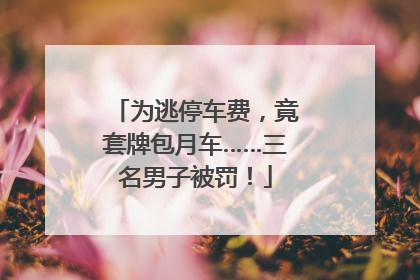 为逃停车费，竟套牌包月车……三名男子被罚！