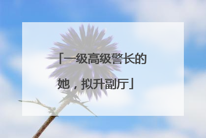 一级高级警长的她，拟升副厅