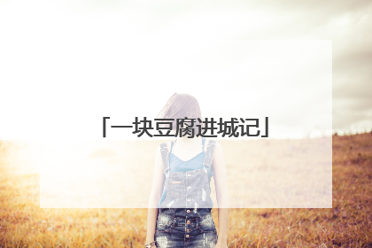 一块豆腐进城记