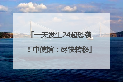 一天发生24起恐袭！中使馆：尽快转移