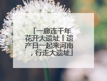 一廊连千年 花开大遗址丨遗产日一起来河南，行走大遗址
