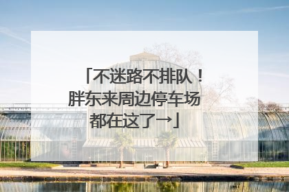 不迷路不排队！胖东来周边停车场都在这了→