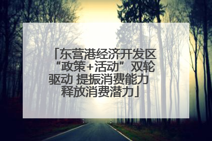东营港经济开发区“政策+活动”双轮驱动 提振消费能力 释放消费潜力