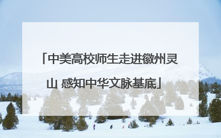 中美高校师生走进徽州灵山 感知中华文脉基底