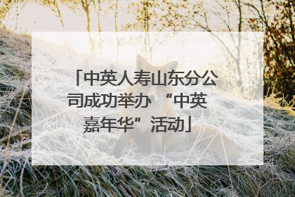 中英人寿山东分公司成功举办 “中英嘉年华”活动
