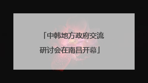 中韩地方政府交流研讨会在南昌开幕