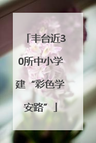 丰台近30所中小学建“彩色学安路”