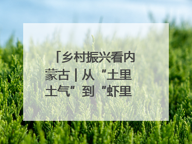 乡村振兴看内蒙古｜从“土里土气”到“虾里虾气” 一田双收模式火出圈