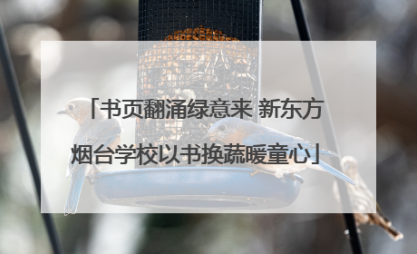 书页翻涌绿意来 新东方烟台学校以书换蔬暖童心