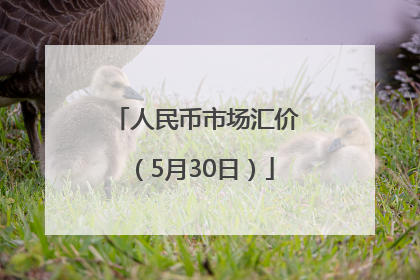 人民币市场汇价（5月30日）