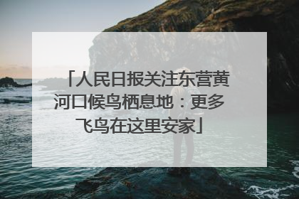 人民日报关注东营黄河口候鸟栖息地：更多飞鸟在这里安家