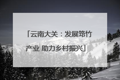 云南大关：发展筇竹产业 助力乡村振兴