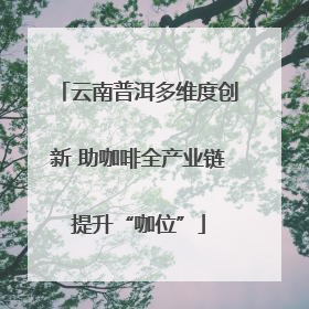 云南普洱多维度创新 助咖啡全产业链提升“咖位”