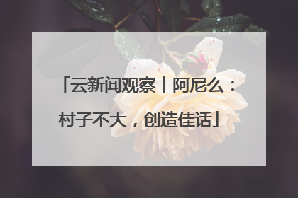 云新闻观察︱阿尼么：村子不大，创造佳话
