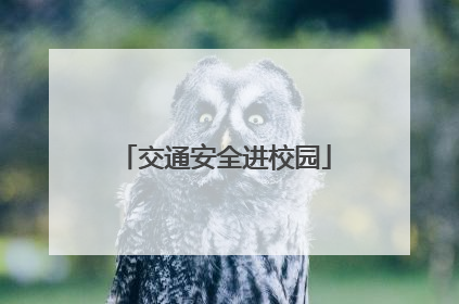 交通安全进校园