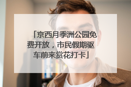 京西月季洲公园免费开放，市民假期驱车前来赏花打卡