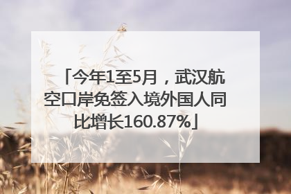 今年1至5月，武汉航空口岸免签入境外国人同比增长160.87%