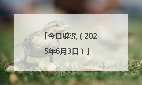 今日辟谣（2025年6月3日）
