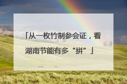 从一枚竹制参会证，看湖南节能有多“拼”