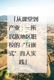 从课堂到产业：一所民族地区职校的“互嵌式”育人实践