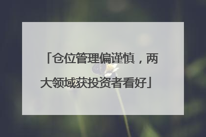 仓位管理偏谨慎，两大领域获投资者看好