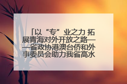 以“专”业之力 拓展青海对外开放之路——省政协港澳台侨和外事委员会助力我省高水平开放和高质量发展