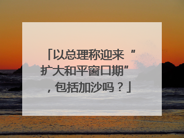 以总理称迎来“扩大和平窗口期”，包括加沙吗？