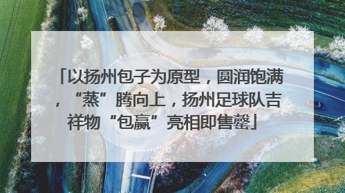 以扬州包子为原型，圆润饱满，“蒸”腾向上，扬州足球队吉祥物“包赢”亮相即售罄