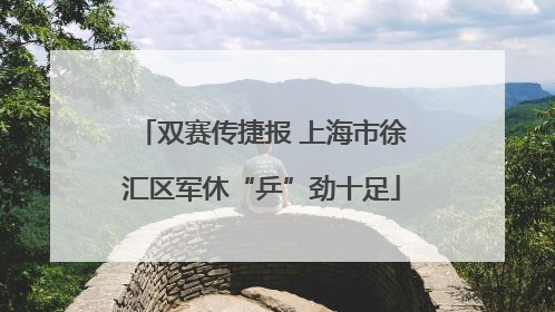 双赛传捷报 上海市徐汇区军休“乒”劲十足