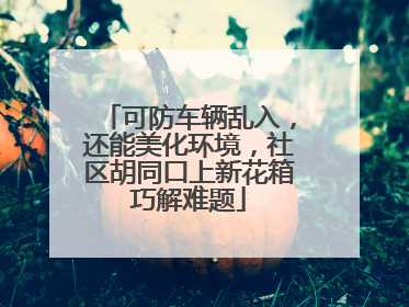 可防车辆乱入，还能美化环境，社区胡同口上新花箱巧解难题
