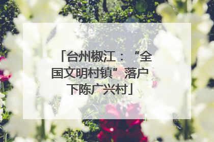 台州椒江：“全国文明村镇”落户下陈广兴村