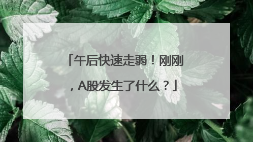 午后快速走弱！刚刚，A股发生了什么？