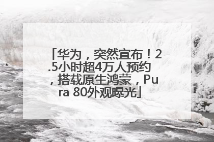 华为，突然宣布！2.5小时超4万人预约，搭载原生鸿蒙，Pura 80外观曝光
