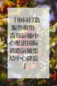 协同打造服务枢纽 青岛运输中心推进国际道路运输集结中心建设
