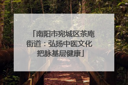 南阳市宛城区茶庵街道：弘扬中医文化 把脉基层健康