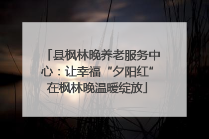 县枫林晚养老服务中心：让幸福“夕阳红”在枫林晚温暖绽放