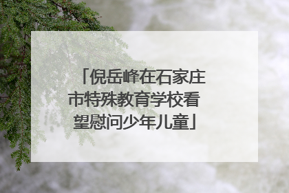 倪岳峰在石家庄市特殊教育学校看望慰问少年儿童