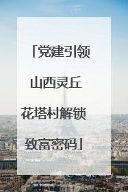 党建引领 山西灵丘花塔村解锁致富密码