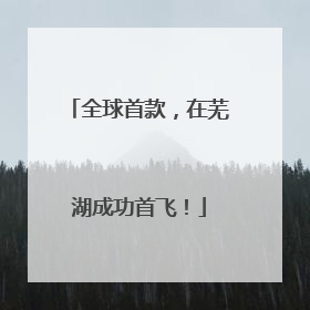 全球首款，在芜湖成功首飞！