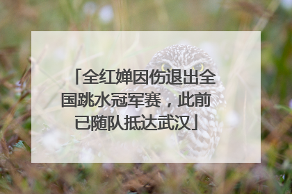 全红婵因伤退出全国跳水冠军赛，此前已随队抵达武汉